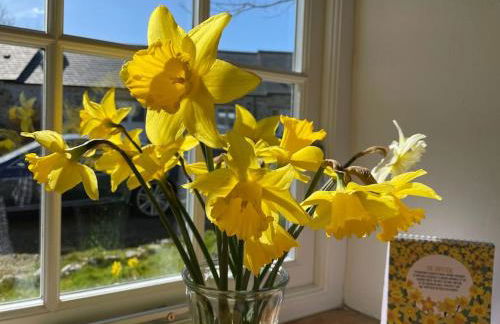 The Dairy @ Trefechan Wen - Photo 35