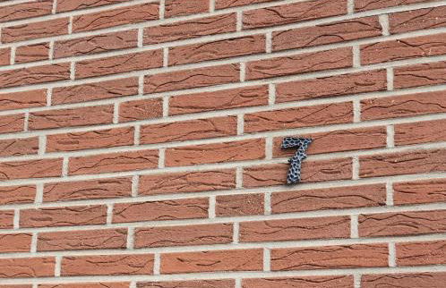 Schneider Appartements Steinhude - Photo 12