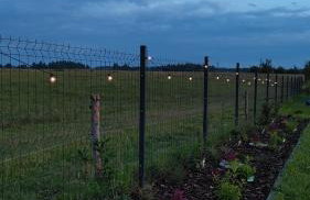 W Szczerym Polu - Foto 23