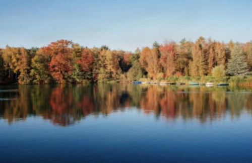 Ferienwohnung mit Garten am Venekotensee - Foto 16