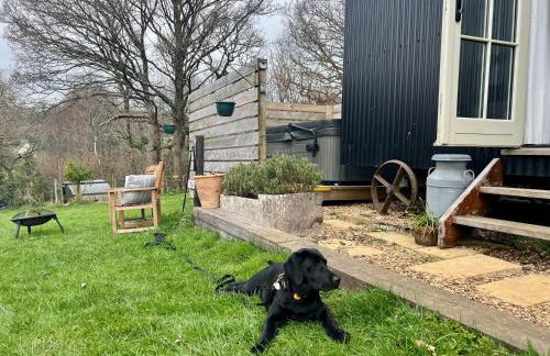 The Shepherds Snug - Photo 16