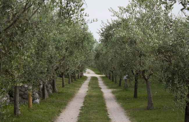 Residence Fontanelle - Foto 70