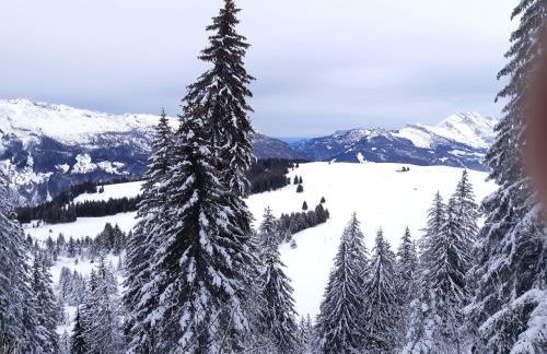 Le Soladret - 2 pièces 4 étoiles - Vue extraordinaire sur les Aravis - Foto 41