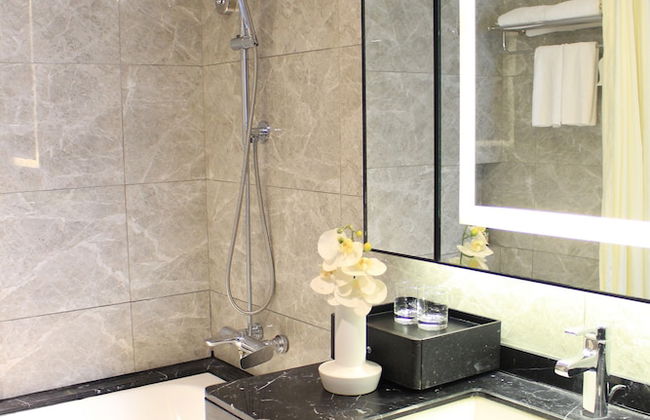 Somerset Yangtze River Chongqing - Foto 46