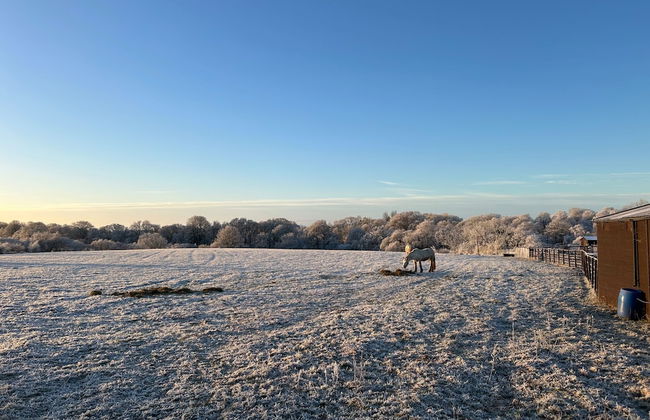 Wonderful 4 Bedroom Cottage Sleeps 8 - Foto 26