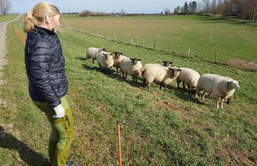 DOMizil Xanten - Foto 17