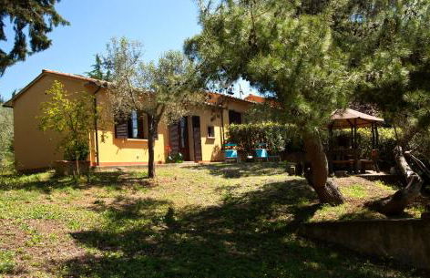 Appartamento bilocale I Cerroni Montescudaio - Foto 6