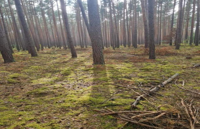 Peaceful Retreat by the Lake - Foto 29