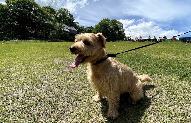 Hakuba Powder Mountain - Foto 53