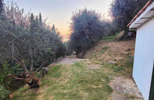 Massaciuccoli Romana - Foto 35