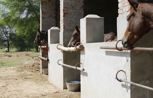 Talabgaon Castle - Foto 21