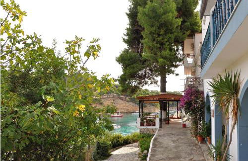 Pension Dimitris - Photo 38