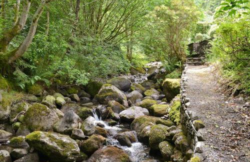 Joan's Cottage - Foto 17