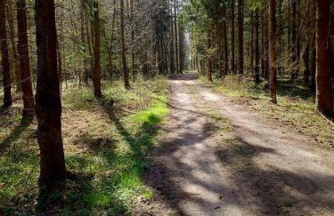 Domek z bala Mazury - Foto 18