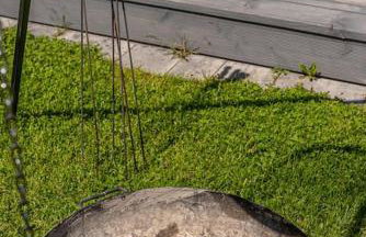 Kaszubska Lawenda Żuromino, Domek nr 3 - Foto 69