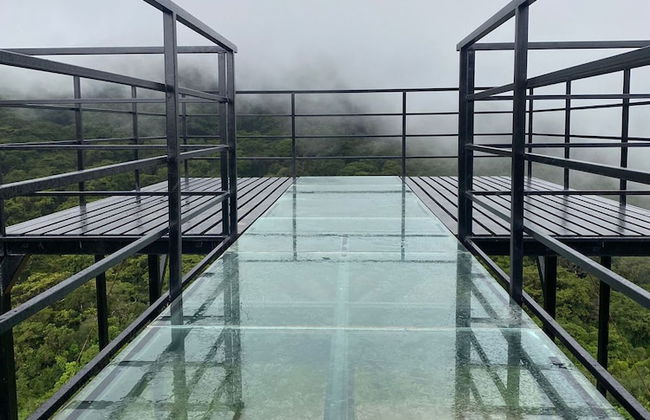 Coorg Tree House - Foto 23