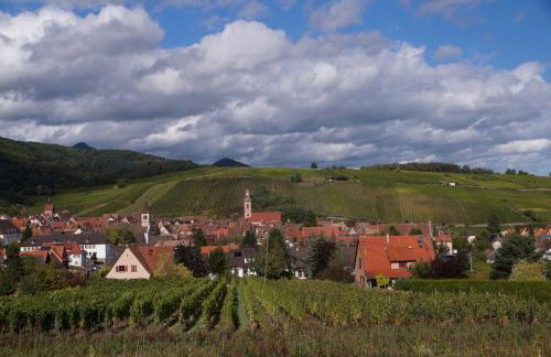 Gite Le Mandlé - Photo 4