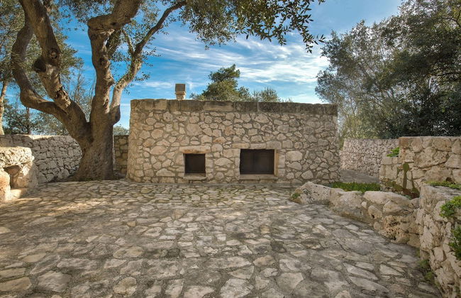 Pajara Acquaviva - Foto 18