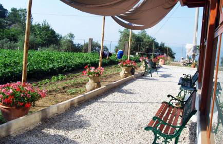 Madre Terra - Foto 9