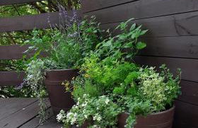 Sominy 17 - Dom w sercu kaszubskiej wsi - Foto 25