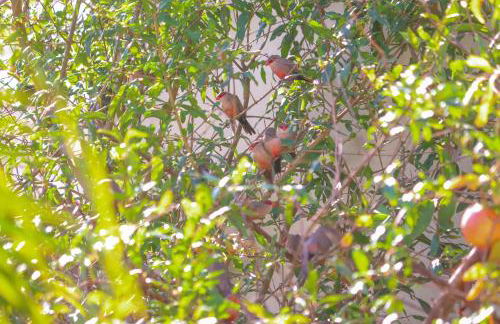 Casa no Renascença próxima Praias e Centro Histórico - Photo 5