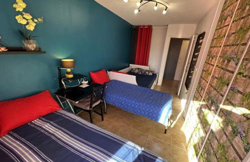 Meublé Les Dômes du Parc 6ème - Foto 14