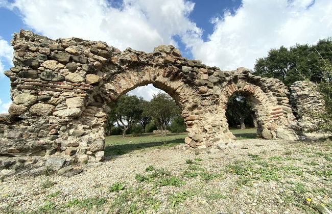 Tour arqueológico por Olbia - Foto 1