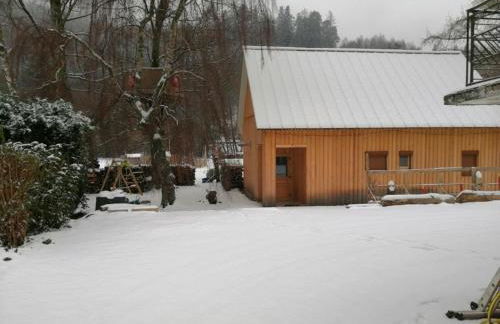 La Gambas des Bois - Foto 60