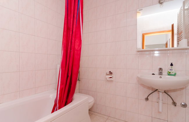 Plavac Mali - Photo 15