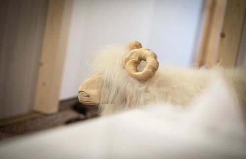 Apartamenty Jędrol - Foto 28