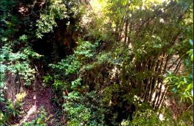 House within walking distance of the lake - Photo 27