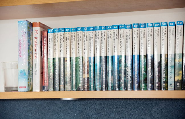 Klimatyczne Studio Metro Slodowiec - Foto 24