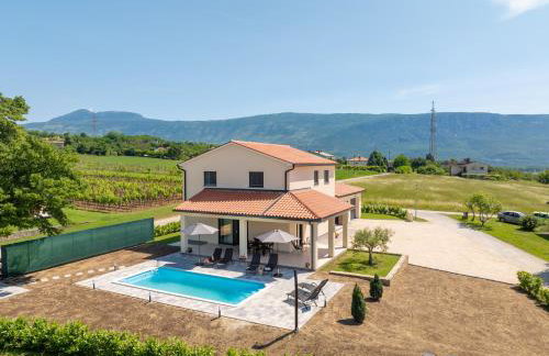 Villa Olealis - Foto 1