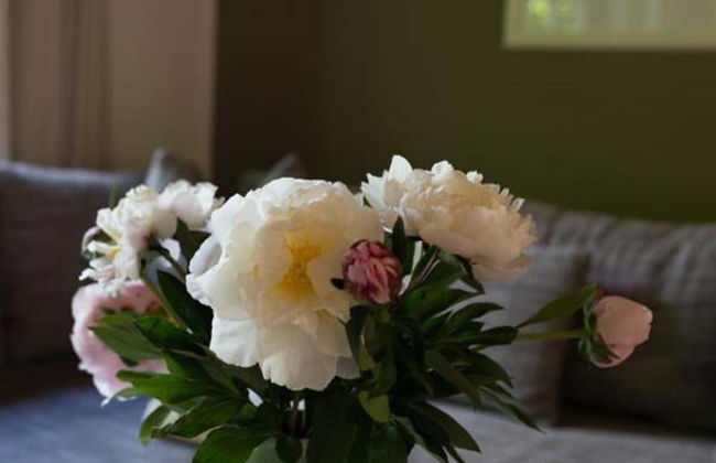 Das Haus Am See - Photo 17