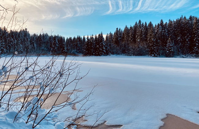 Maison de vacances - LM - Foto 50