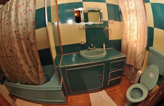 Dilshad Houseboats - Foto 18