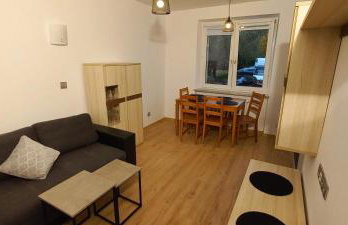 Apartament JUKI 2, obok Katowice Wynajem na doby, krótkoterminowy, 2 pokoje, możliwość dodatkowych dwóch osób na rogówce w salonie za dodatkową opłatą, 37m2,- po kapitalnym remoncie, Wifi - Foto 2