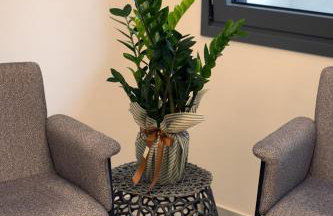 Mary's Loft - Photo 15