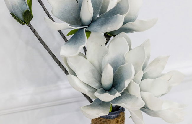 Mermaid Apartment Dziwnow by Renters - Photo 15