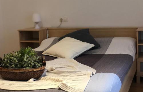 Apartamentos Ribera Navarra - Bardenas - Photo 13