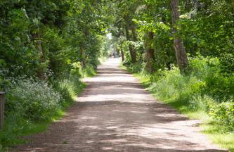 Wohnen am Südstrand - Ferienwohnung 1 4 - Foto 7