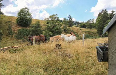 Chalet Bestaenderhof - Foto 16