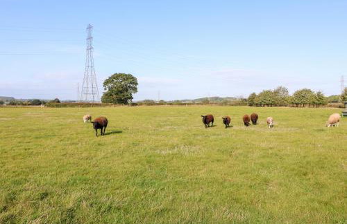 Bluebell Cottage - Foto 45