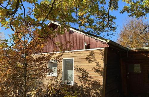 Eifelcottage Wren - Foto 5