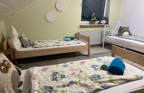 Unter den Wolken - Foto 17