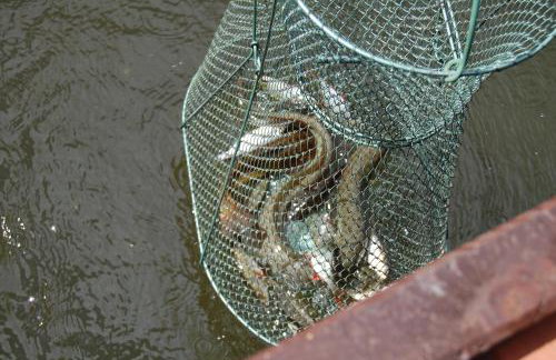 Center Angelos - Foto 16