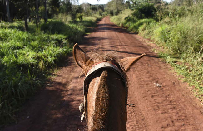Passeio a cavalo pela selva de Iguazú - Foto 4