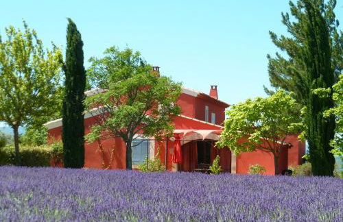 Luberon & Lavandes - Foto 16