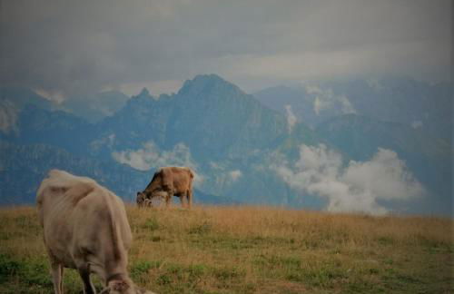 La Casa di Anna nel Parco delle Dolomiti Croce d' Aune 1000 ml slm - Foto 77