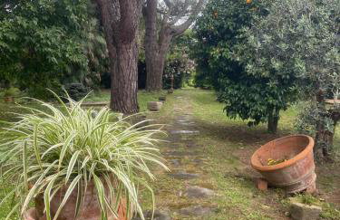 Il Piccolino - Photo 29